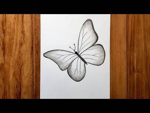 Butterfly Drawing Colour Full