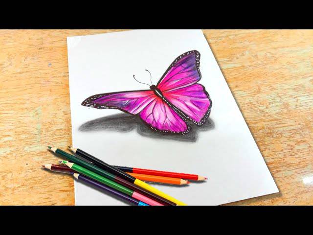 A Butterfly Drawing Easy