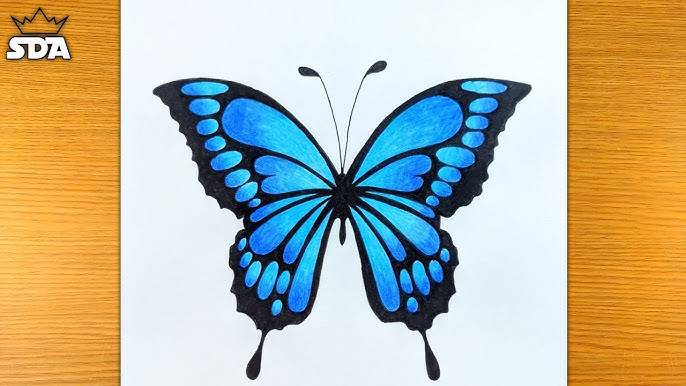 Blue Butterfly Drawing Easy