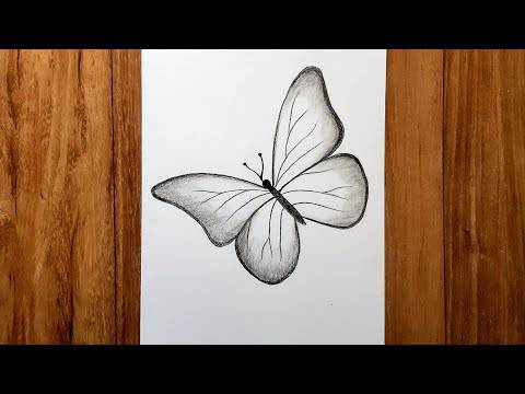 Beautiful Easy Butterfly Drawing