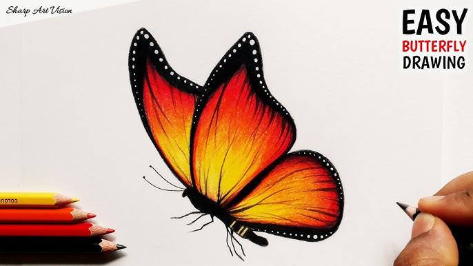 Butterflies Drawings Pinterest