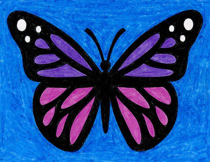 Butterfly Drawing Half Flowers