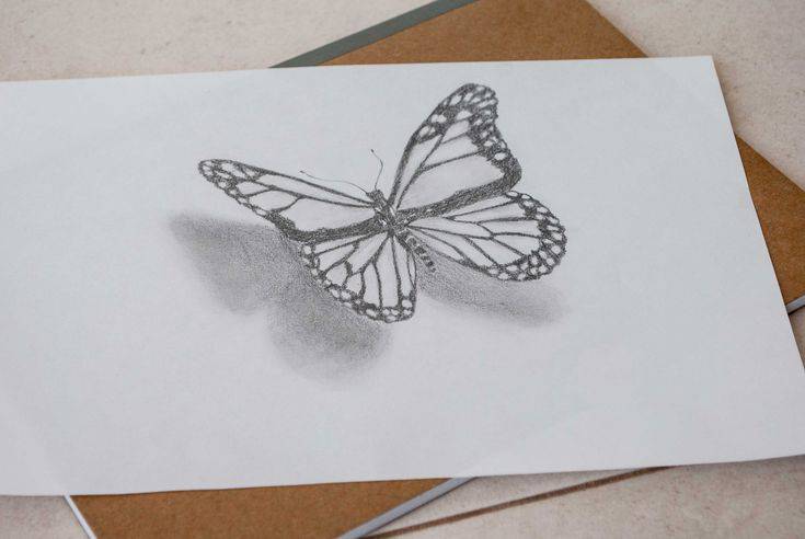 Basic Drawing Butterfly