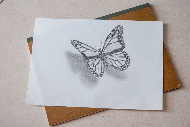 Butterfly Drawing Butterfly Drawing Butterfly Drawing Butterfly Drawing