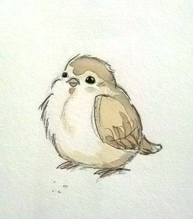 2 Bird Drawing