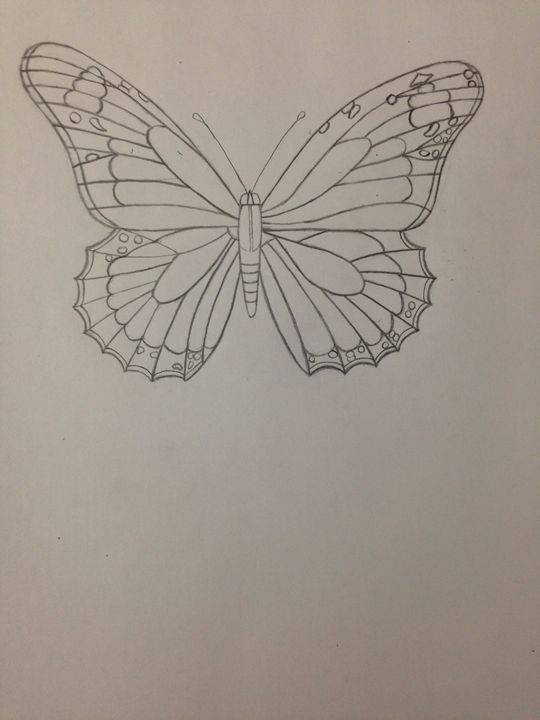 Butterfly Draw The Butterfly