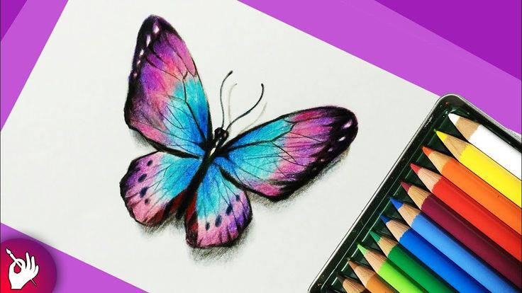 Butterfly Art Sketch