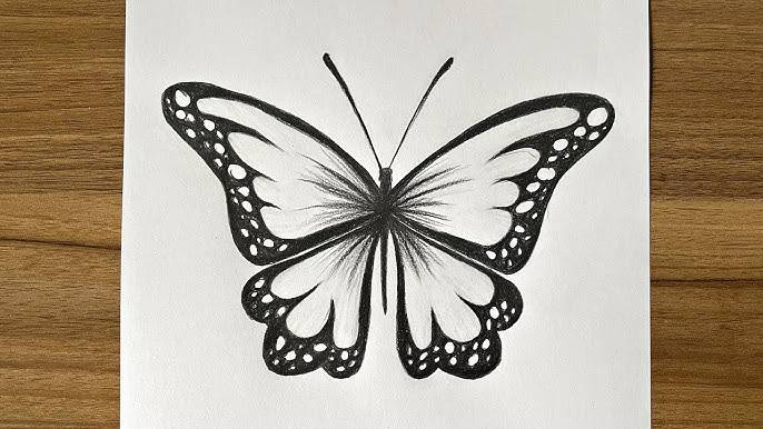 Butterfly Color Sketch