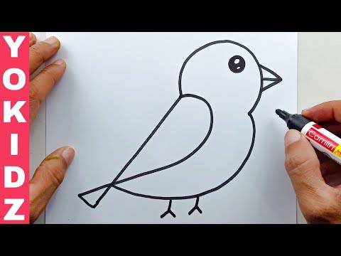 22 Bird Drawing