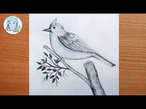 2222 Bird Drawing