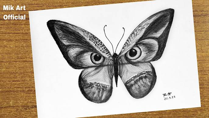 Beautiful Butterfly On Flower Drawing