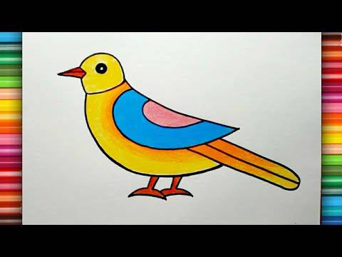 3D Bird Drawing