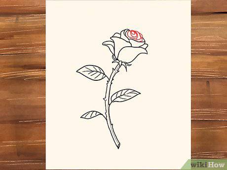 3D Drawing Rose