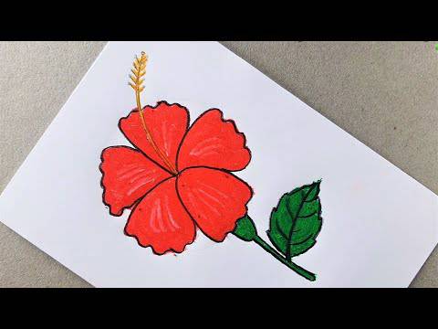 3D Flower Pencil Drawing