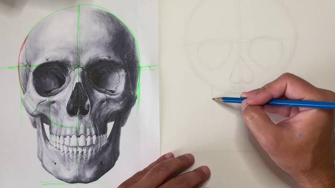 3D Skull Drawing