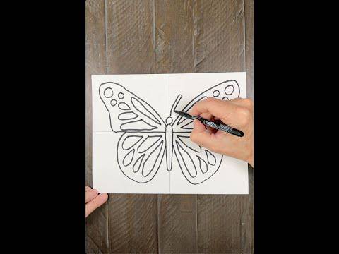 Butterfly Clips Drawing