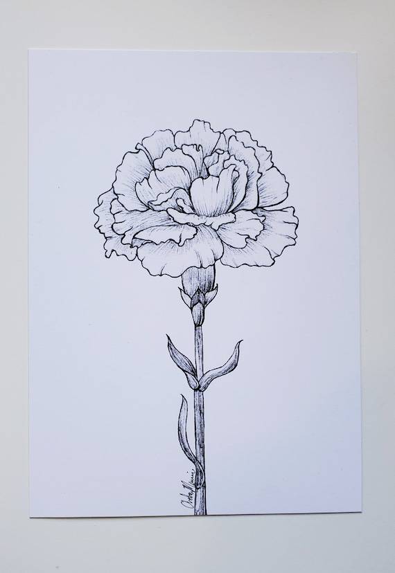 5 Easy Flower Drawing