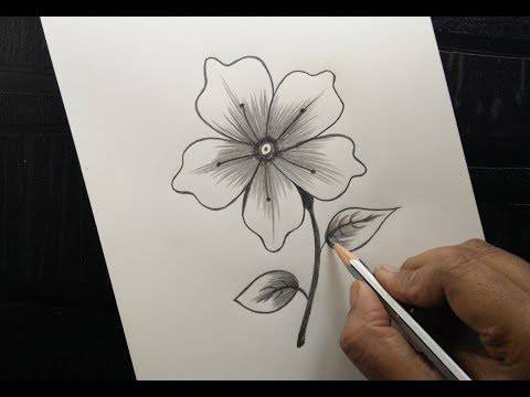 5 Flower Drawing