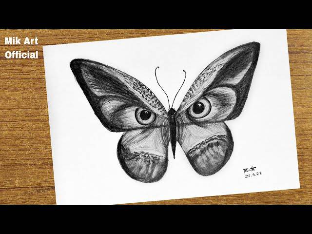 Butterfly Drawing For Easy