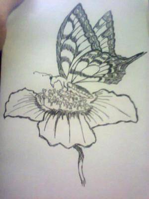 Black And White Butterfly Sketch