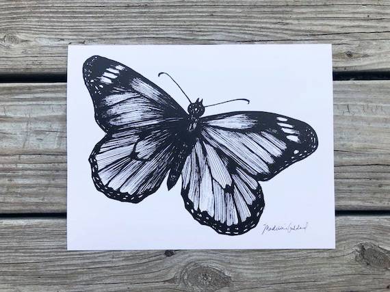 Butterfly Cute Drawing