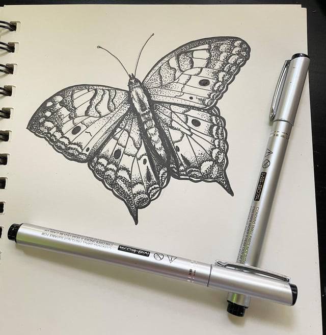 Butterfly And Flower Scenery Drawing