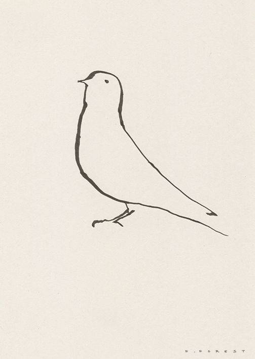 A Beautiful Bird Drawing