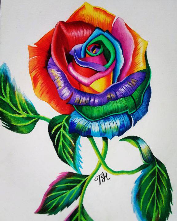 A Beautiful Rose Drawing