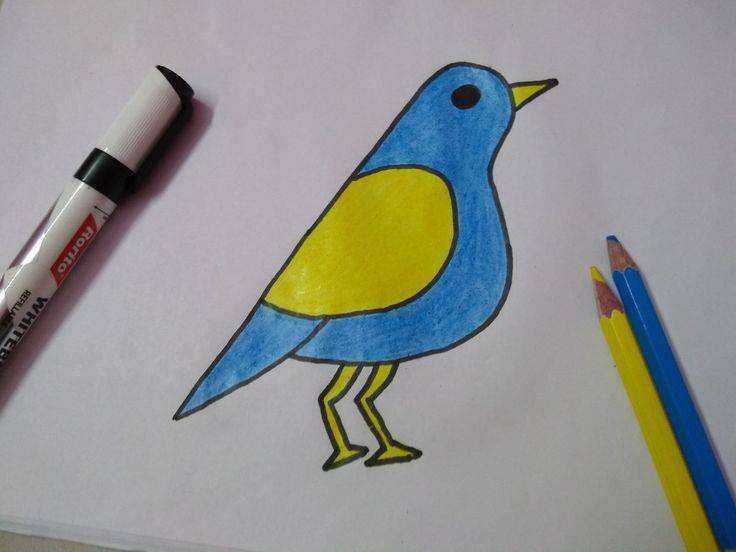 A Bird Drawing Easy