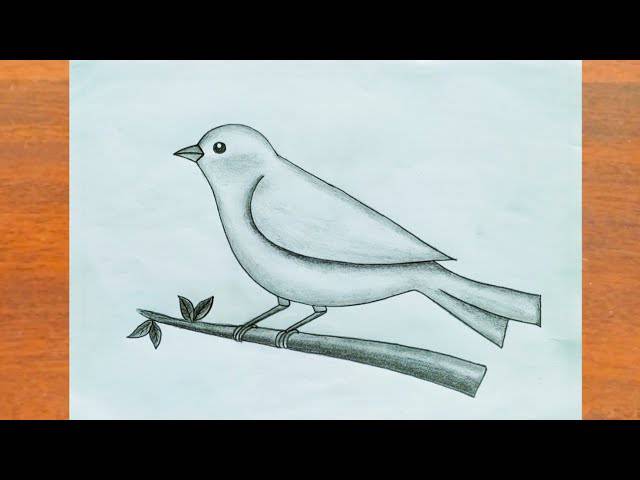 A Bird Drawing With Colour