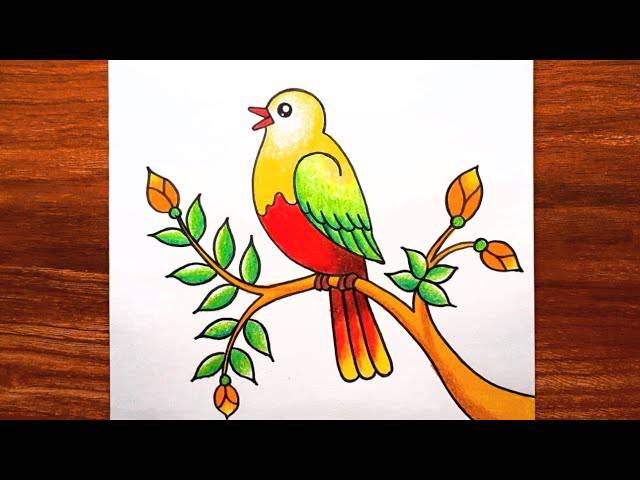 A Bird On A Branch Drawing