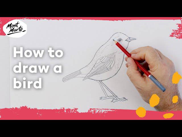 A Bird Picture Drawing