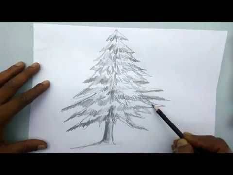 A Drawing Christmas Tree
