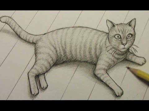 A Drawing Of A Kitten