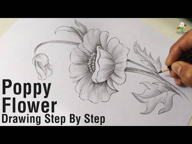 A Flower Sketch