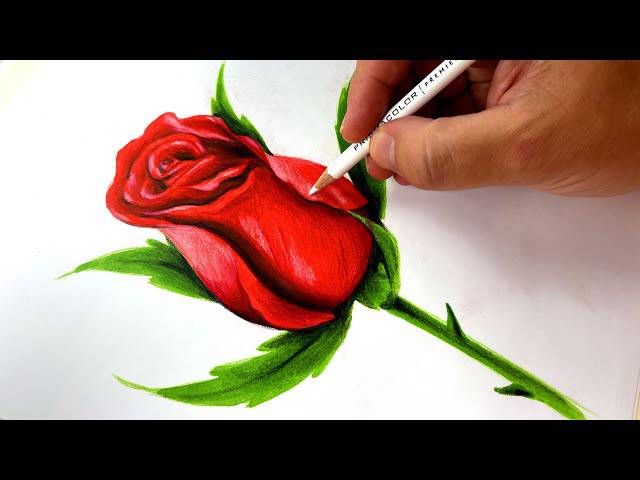 A Hand Holding A Rose Drawing