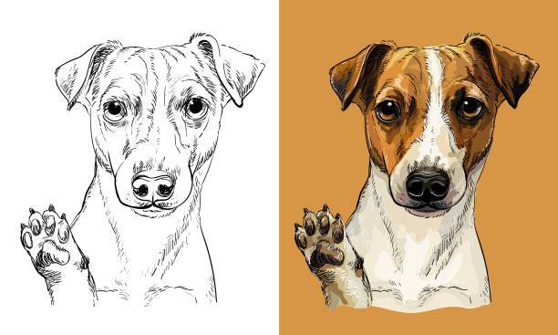 Adopt Me Dog Drawing