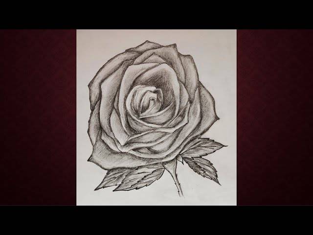 Aesthetic Rose Drawing Easy