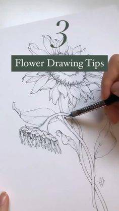 Amazing Flower Drawing