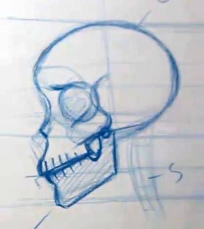 Anatomical Skull Drawing