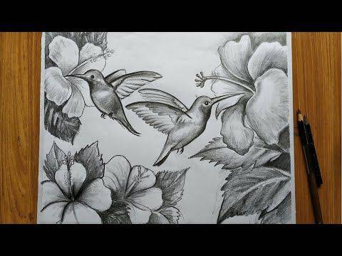 Animated Bird Drawing