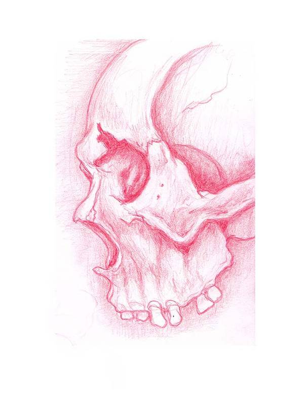 Anime Skull Drawing