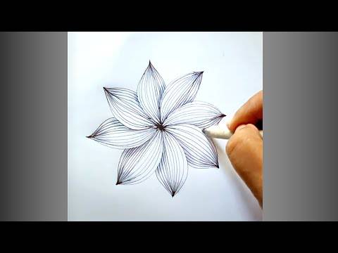 Apple Blossom Flower Drawing