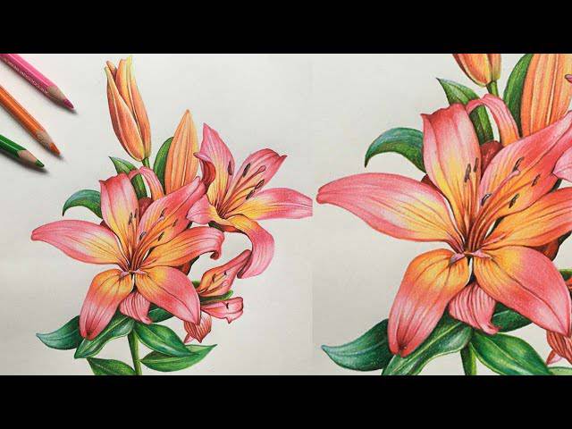 Art Drawing Flower Design