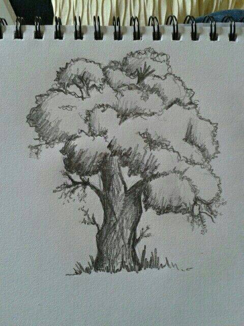 Bamboo Tree Drawing