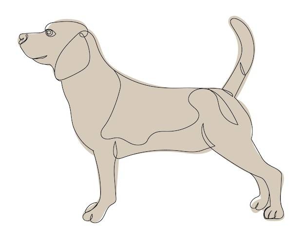 Basic Dog Drawing