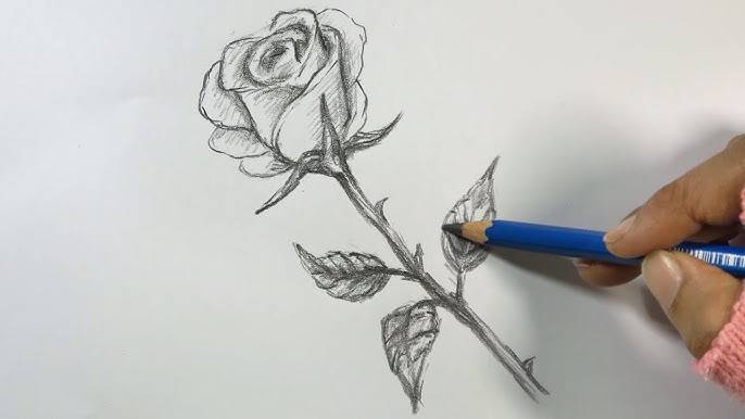 Basic Drawing Rose