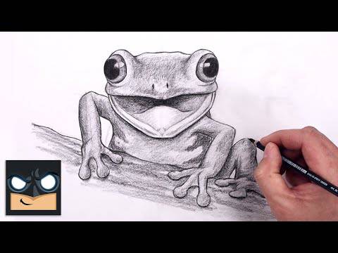 Basic Frog Drawing