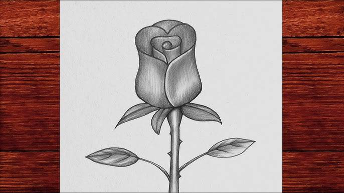 Bayahíbe Rose Drawing