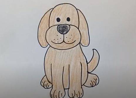 Beagle Dog Drawing